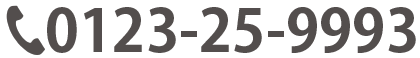 0123-25-9993